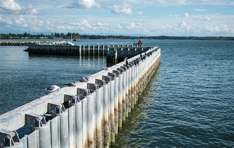 breakwaters metal sheet|Breakwaters .